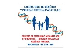 Pruebas de Paternidad / laboratorio de Genética /en Pasto