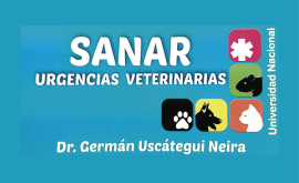 Veterinarias |Sanar - Urgencias Veterinarias| en Duitama