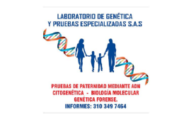 Pruebas de Paternidad / Laboratorio de Genética / en Manizales