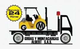 Grúas y Montacargas Albert -3124068134