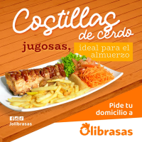 OLIBRASAS  PNG 3