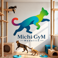 Gimnasios para Gatos en Medellín | Michi Gym Medellín