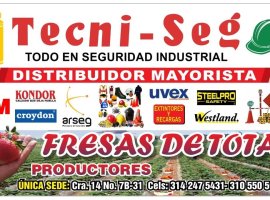 Tecni Seg Sogamoso
