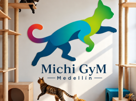Gimnasios para Gatos en Medellín | Michi Gym Medellín